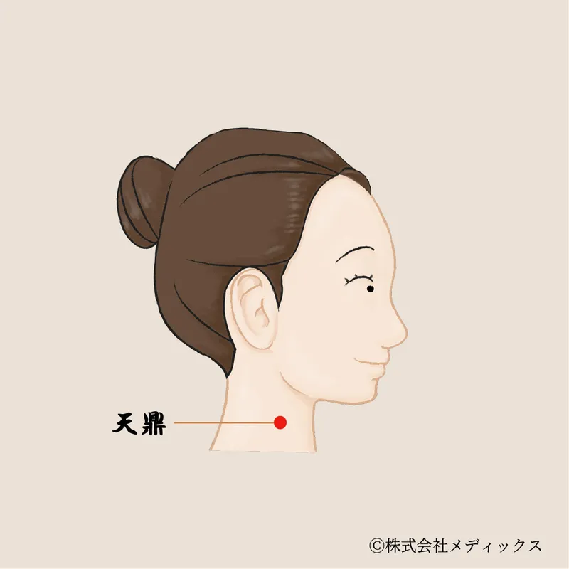 【天鼎】首と肩の不調を改善する重要なツボ