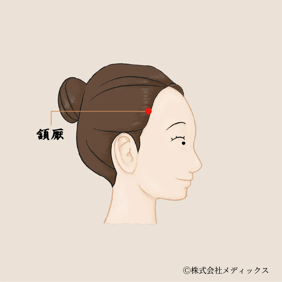  【頷厭】こめかみの痛みや頭の熱を鎮める頭部の要穴