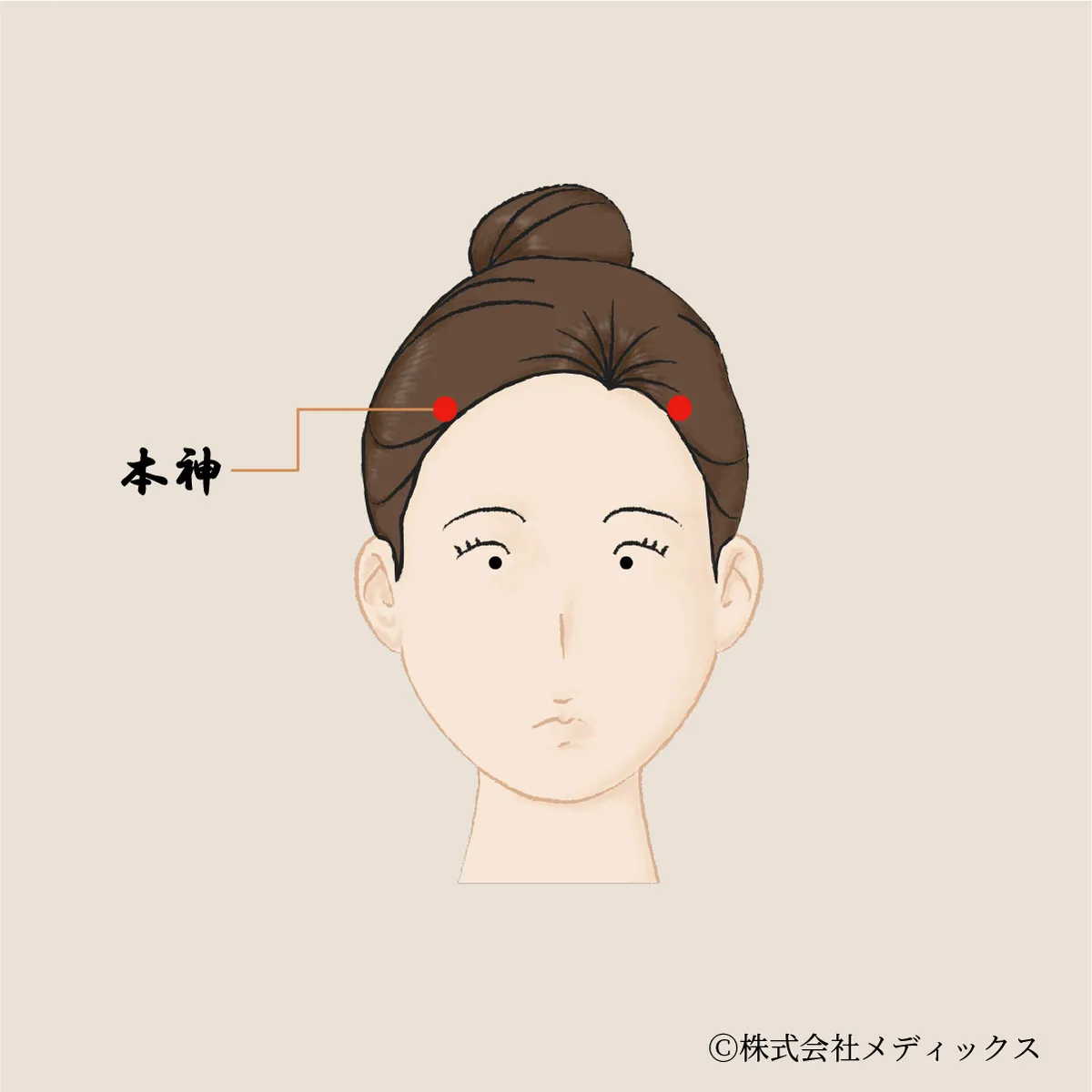 【本神】精神の安定と頭の巡りを導く額のツボ