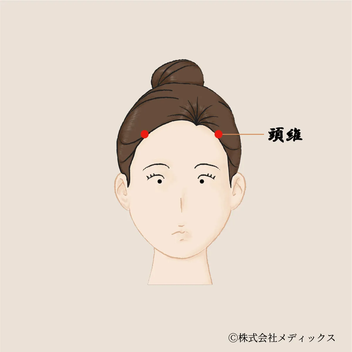 【頭維】頭痛やめまいを和らげる重要なツボ