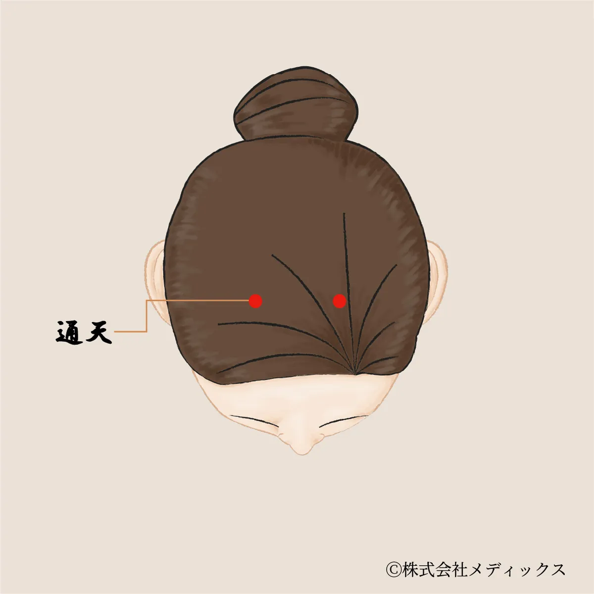 【通天】鼻の不調や頭重感をやわらげる頭部のツボ