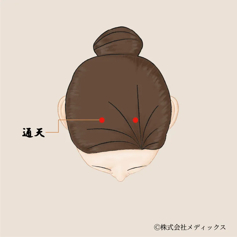 【通天】鼻の不調や頭重感をやわらげる頭部のツボ