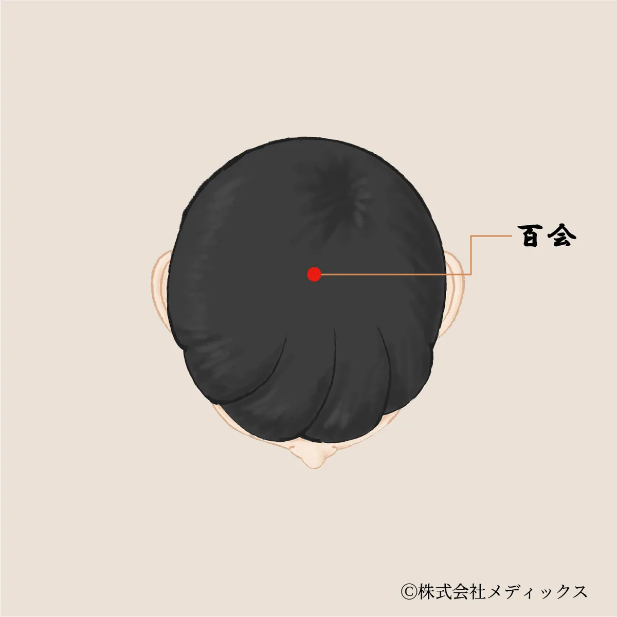 【百会】脳と精神の働きを整える重要なツボ