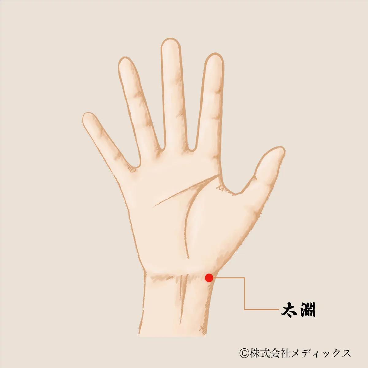 太淵】気を巡らせ、呼吸を整える手首のツボ｜メディックスブログ