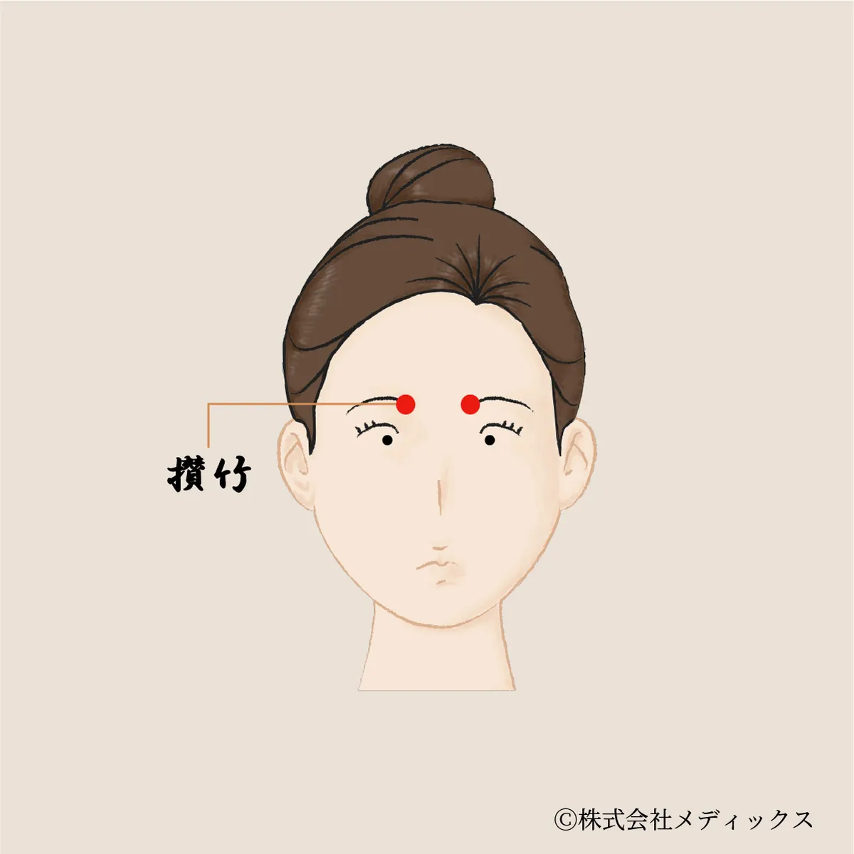 攅竹】目の疲れとストレスに効く、眉頭の万能リセットツボ